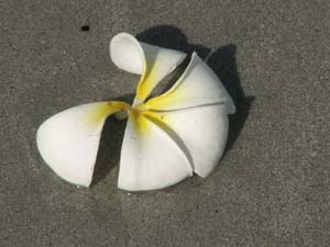 Morro Jable, Fuerteventura 